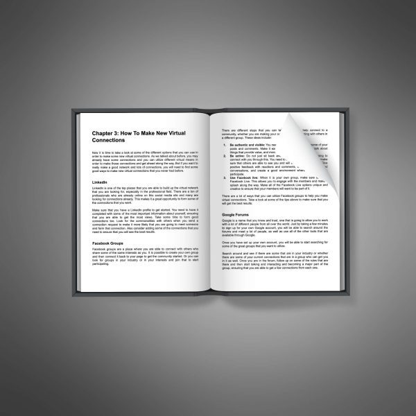 Virtual Networking Success - Image 3