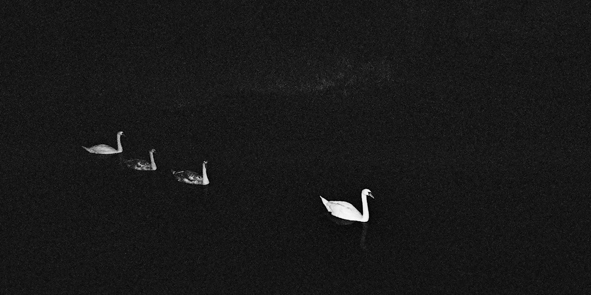 WWWADING – Exhibition Opening