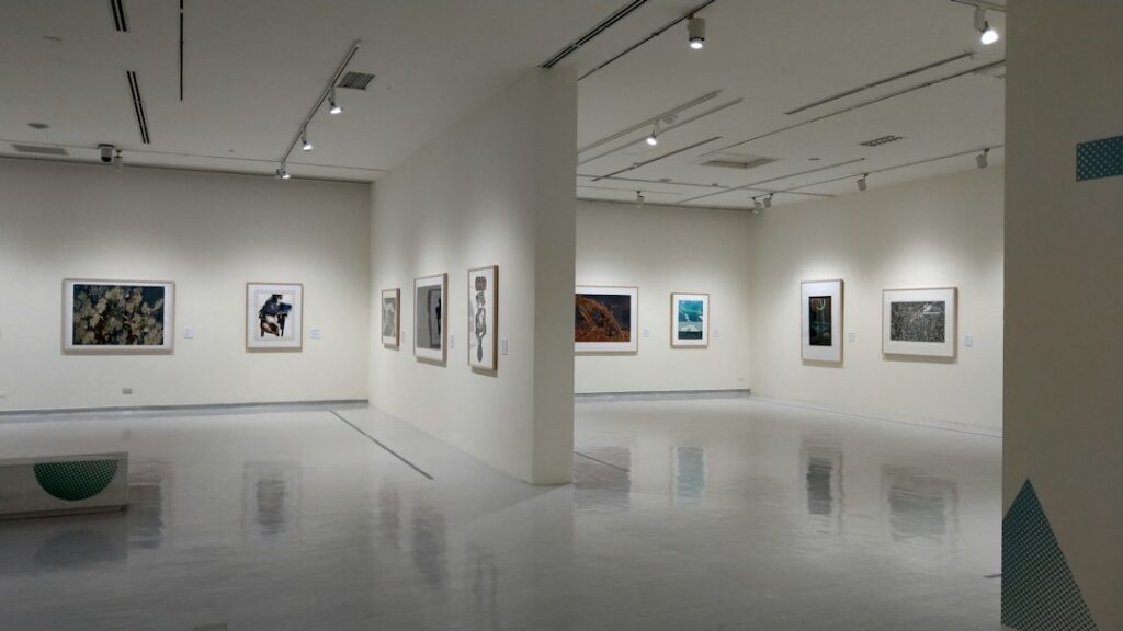 Paintings hung together on a white gallery wall, arranged like a curated portfolio