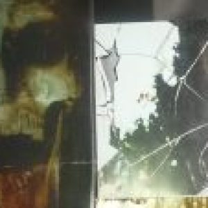 Profile photo of Sue Ross Skitt