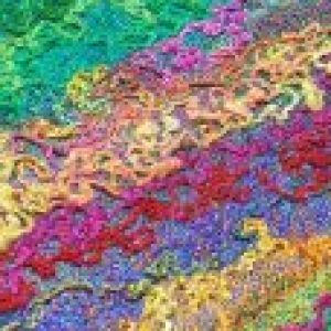 Profile photo of Natalia Manley