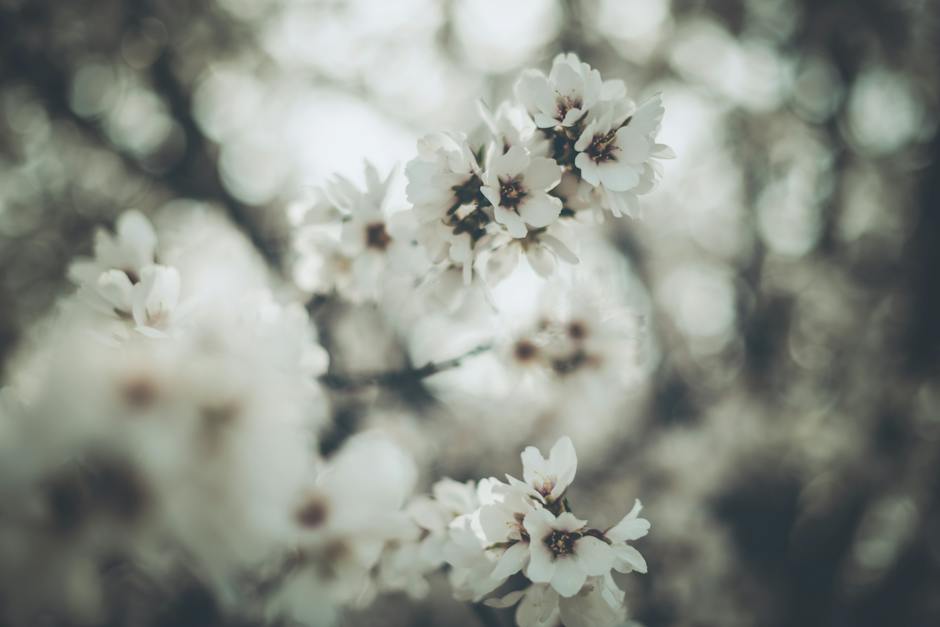 A visually stunning depiction of almond blossoms in a variety of delicate shades of white and pink against a vivid blue backdrop. The branches extend beyond the canvas edges, creating a three-dimensional effect that draws the viewer into the ethereal world of the painting.