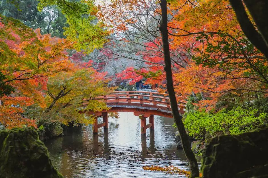 An image of a serene water fountain in Japan's landscape