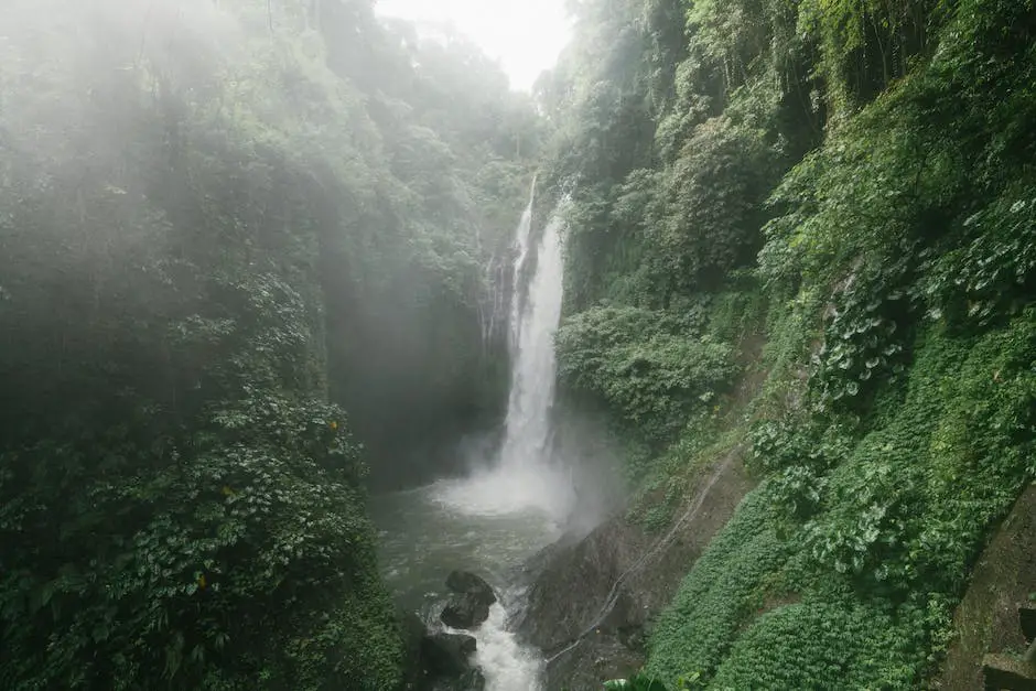 Image of a Japanese fountain surrounded by lush foliage and bright flowers